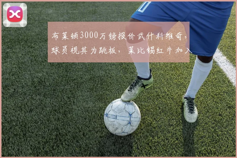 布莱顿3000万镑报价武什科维奇,球员视其为跳板,莱比锡红牛加入争夺战最新动态